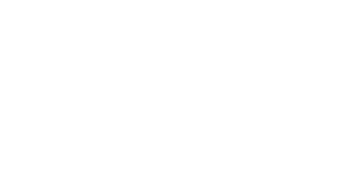 The Fantasy Company
